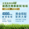 纽仕兰新西兰草饲全脂纯牛奶100%生牛乳250ml*24盒 商品缩略图1