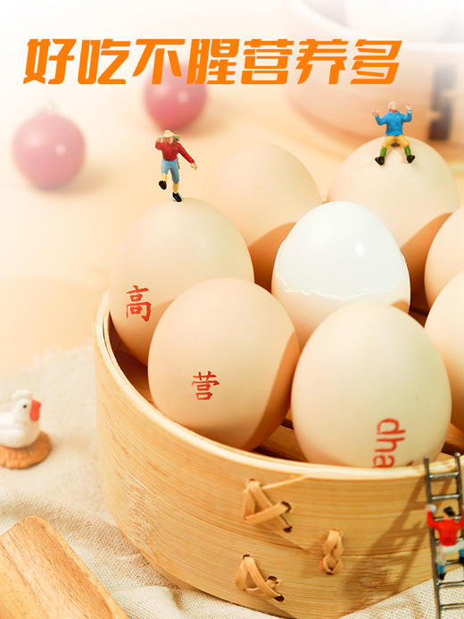 聪明龙 卵磷脂型DHA鲜鸡蛋8盒装，DHA150，外加叶黄素，蛋香浓郁，好吃不腥【周期购8盒】分期发货 商品图2