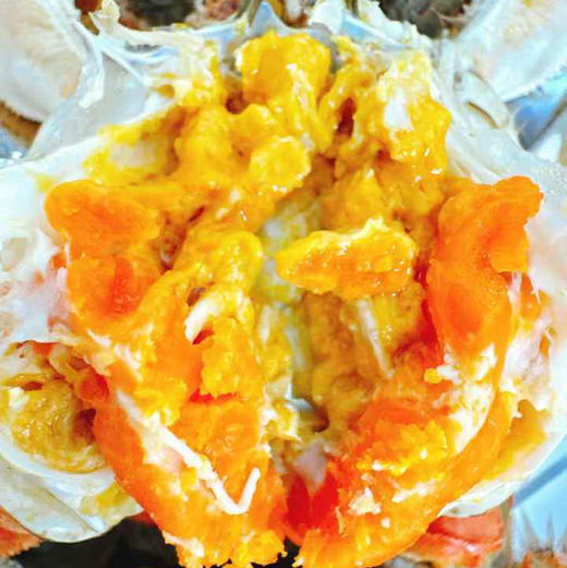 阳澄湖大闸蟹礼盒顺丰快递包邮下单从北京发货 商品图8