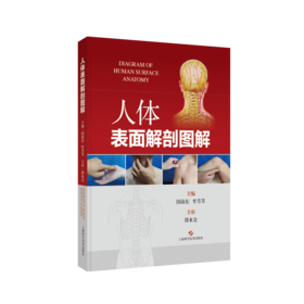 人体表面解剖图解