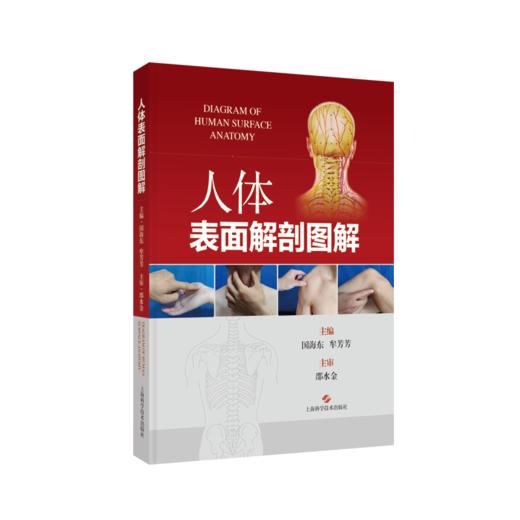 人体表面解剖图解 商品图0