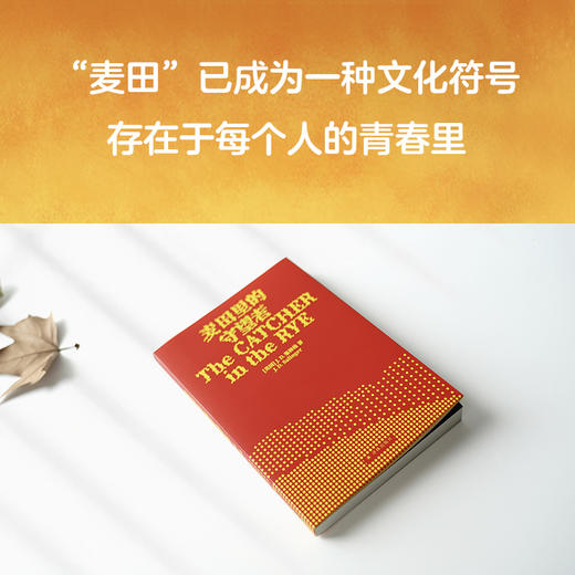 麦田里的守望者（出版70周年纪念版） 商品图6
