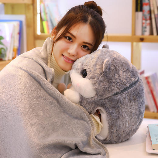 【卡通可爱仓鼠三合一】抱枕毯 暖手抱枕插手毯子两用 公仔毛绒玩具玩偶 商品图1