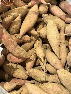 山东烟薯（5斤装）