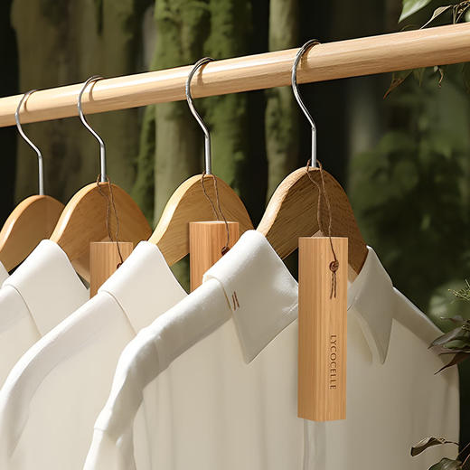 MM 山姆 绽家（Lycocelle）香樟木条60根（10*2*2cm根） 商品图2