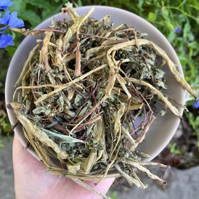 生态马齿苋干 | 绿家自产 * Eco-Purslane | Self-production