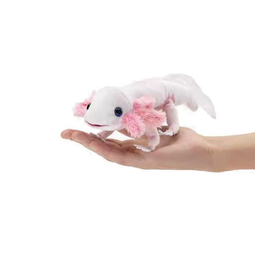 FOLKMANIS 六角龙鱼FOLC3152 商品图0