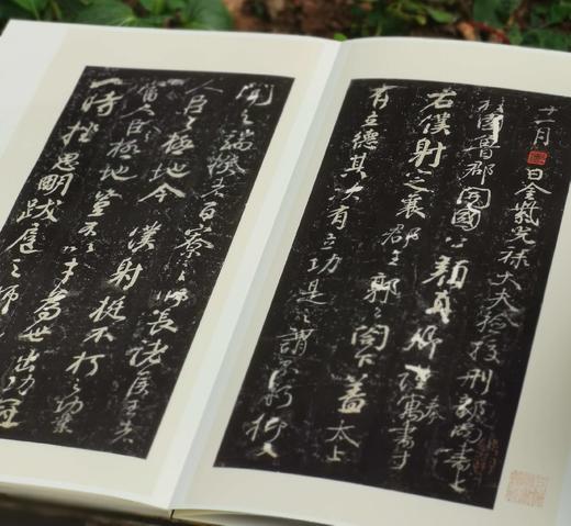 翰墨瑰宝8种，8开，绸布面册页装，上海图书馆编，上海古籍出版社2017前后出版，每种仅印500册。 商品图5