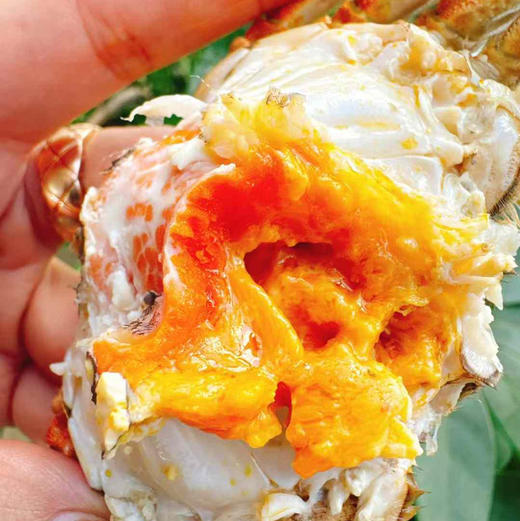 阳澄湖大闸蟹礼盒顺丰快递包邮下单从北京发货 商品图9