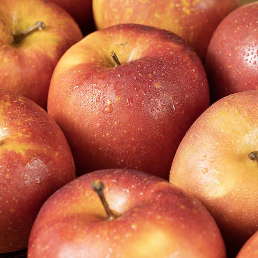 云南大理冰糖心丑苹果|馥郁苹果香，新鲜、爽脆、汁甜 商品图0