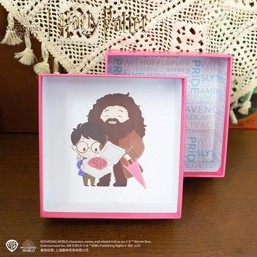 哈利波特首饰包 商品图1