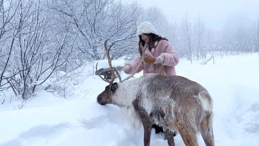 【雪原牧歌·内蒙乌兰布统亲子营】东北玩雪平替，北京集散，高性价比玩雪！越野车穿越、搭雪屋、rua驯鹿、渔猎、滑雪、长城徒步、冬日温泉…提前15天无忧退改 商品图6