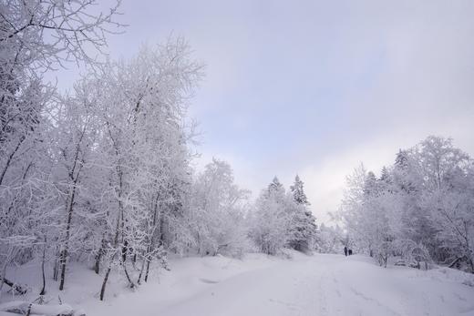 长白山脉的冬日仙境：四方顶、雪村、魔界、天池、瀑布、老爷岭、老里克湖、雾凇、查干湖冬捕鱼7-9天摄影团 商品图4