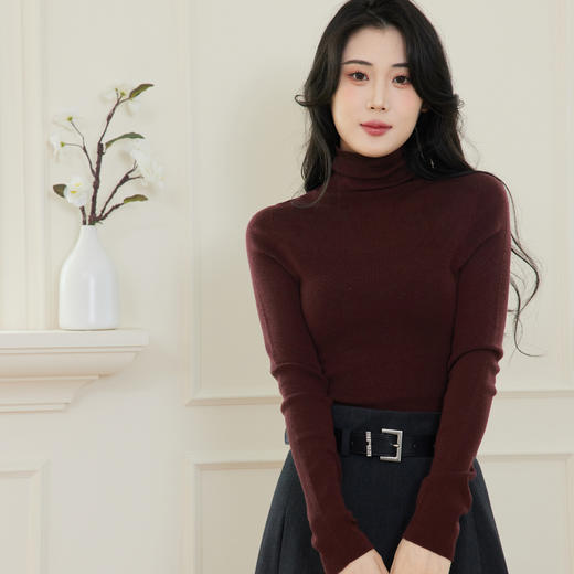 【商场同款】伊芙丽120支扬子纱高领全羊毛毛衫1FA833981 商品图7