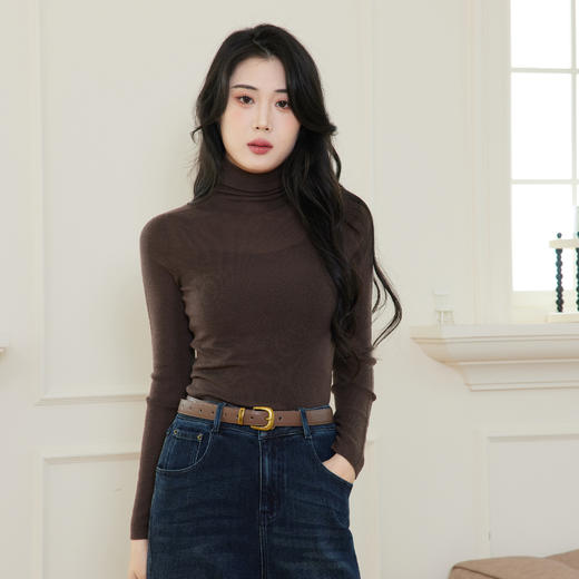 【商场同款】伊芙丽120支扬子纱高领全羊毛毛衫1FA833981 商品图4