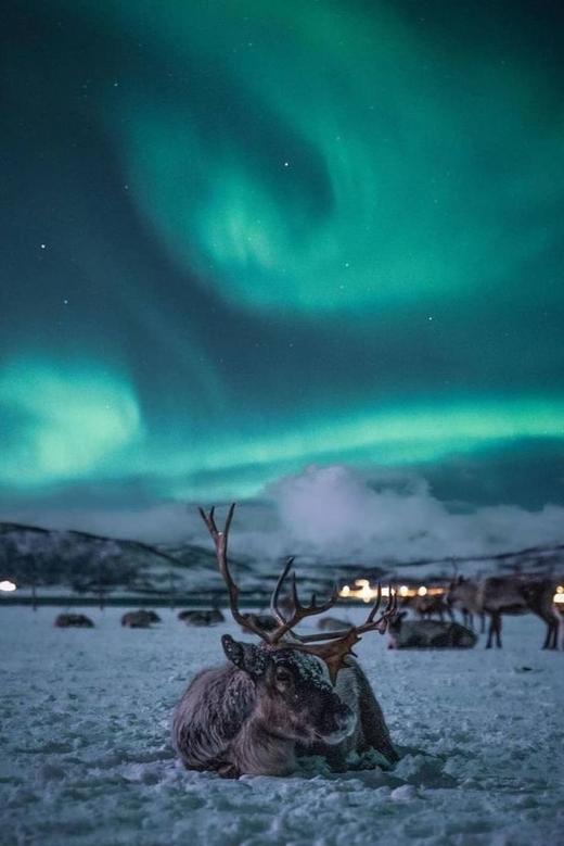 芬兰冰岛「圣光」之旅 商品图0