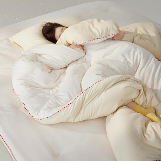 自然醒Creamsoft® 奶油小方捏捏被奶丝云朵被子冬被加厚保暖春秋被单人学生宿舍空调棉被LFS 商品图8