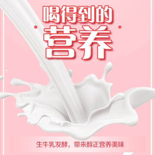 君乐宝嚼吧草莓燕麦粒风味酸奶150g*5袋 商品图1