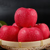 静宁红富士  特大果  9枚装 商品缩略图3