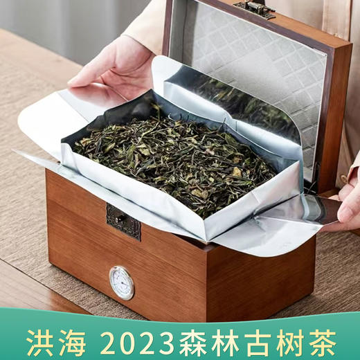 【会员日直播】 2023年 森林古树茶 洪海 普洱生茶 250g/盒 买一送一 商品图0