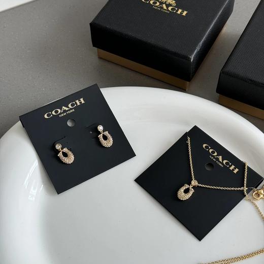 COACH 2024新款 满钻项链/耳钉 商品图0