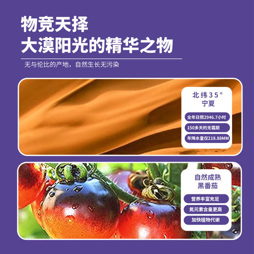 【航天特供食品】黑番茄原浆后生元7袋*1盒 商品图2