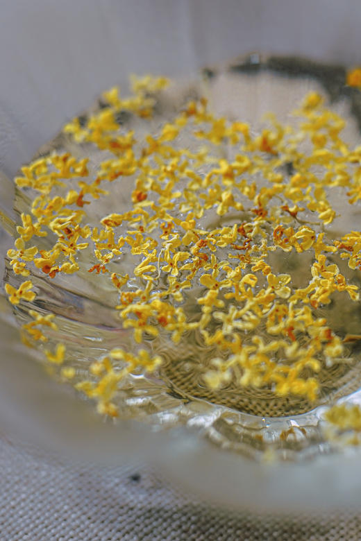 2025【广西金桂】品秋意正浓，赏桂花正香 商品图8