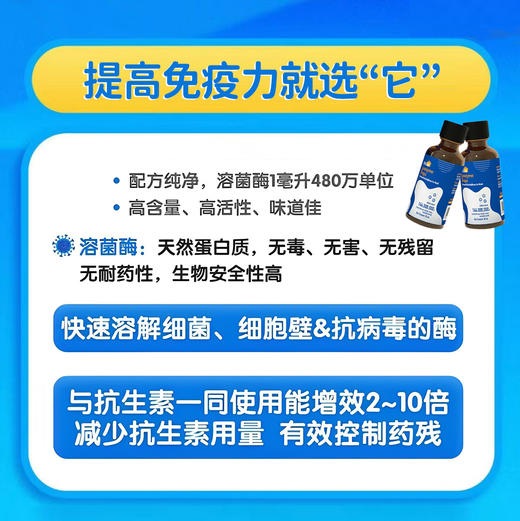 ¹年终回馈发3盒【双MEI组合】条装液体接骨木莓+溶菌酶 新西兰进口 接骨木莓5ml*30条/盒 溶菌酶30ml/瓶CF01- CRMM-CYYX 商品图4