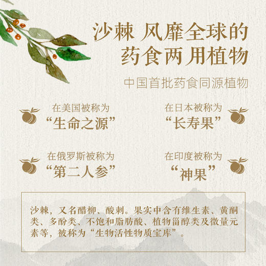 （康普）呀啦嗦沙棘黄酮茶珍 商品图1