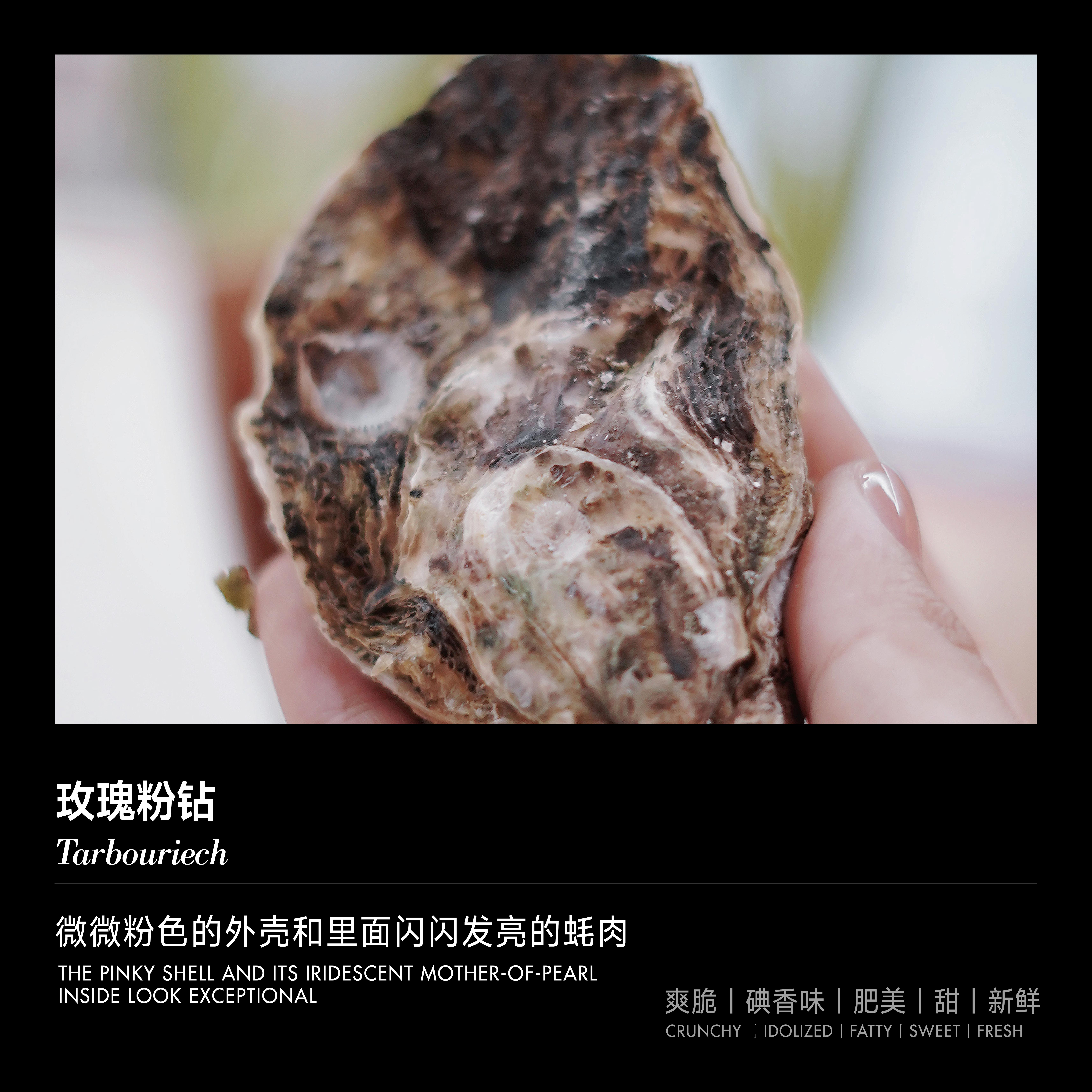 【单只现货】玫瑰粉钻生蚝 (Tarbouriech)