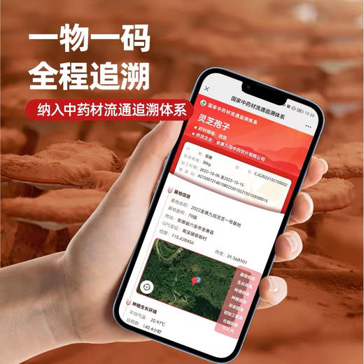 破壁灵芝孢子粉中药饮片20g/盒灵芝孢子粉正品官方旗舰店林芝 商品图3