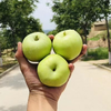 陕西青苹果 当季新鲜现摘苹果，快来尝鲜~ 商品缩略图6