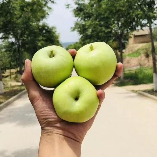 陕西青苹果 当季新鲜现摘苹果，快来尝鲜~ 商品图6