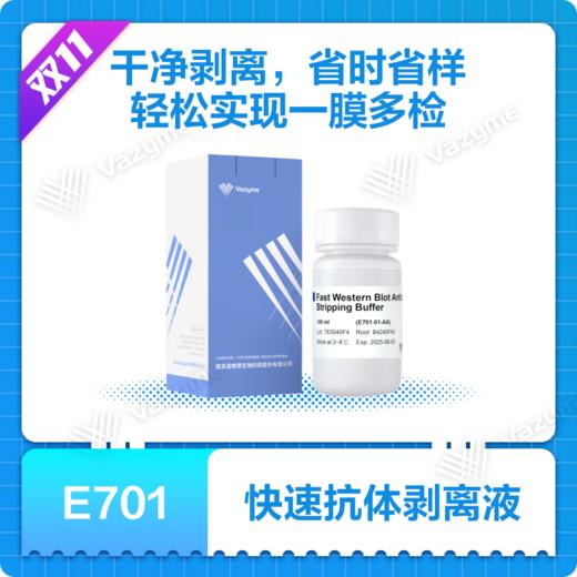 Fast Western Blot Antibody Stripping Buffer 商品图0