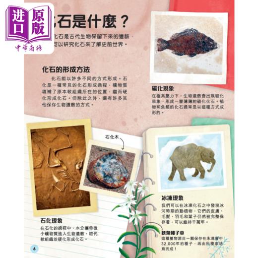 【中商原版】DK揭秘史前世界！探索恐龙与古生物的奥秘 香港原版 儿童知识绘本科普读物 新雅知识馆 童书 新雅文化事业出版 商品图1