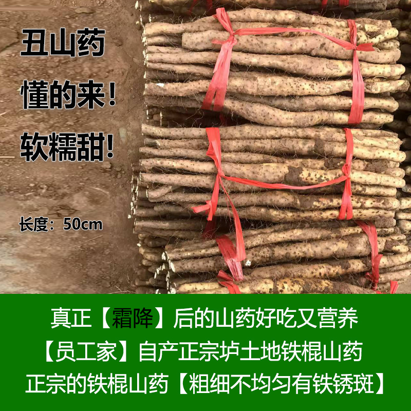 河谷上方 正宗原产地【 霜降后的山药】【丑山药 懂的来！软糯甜！营养丰富！】【5斤装50cm】 生态种植铁棍山药河南焦作温县垆土淮山药