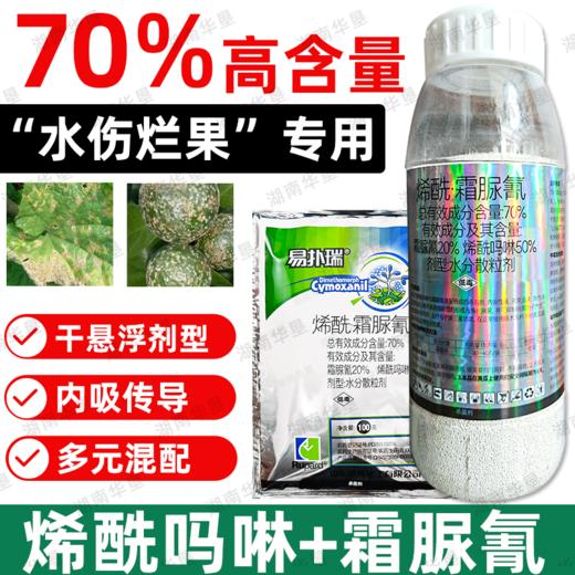荣邦70%烯酰霜脲氰农用杀菌剂水伤黄瓜霜霉病专用杀菌剂正品批发 商品图0