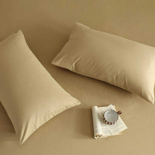 老米优品🎈单只/一对【100支全棉 单品磨毛枕套】好品质磨毛枕套！纯色中厚长绒棉枕套 单独枕套！ 商品图8