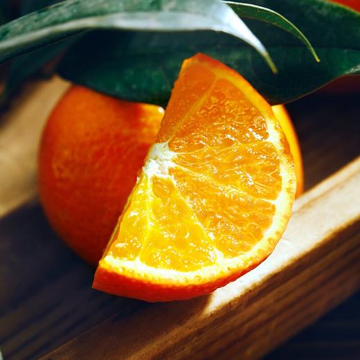 九稀 金秋砂糖橘 商品图2