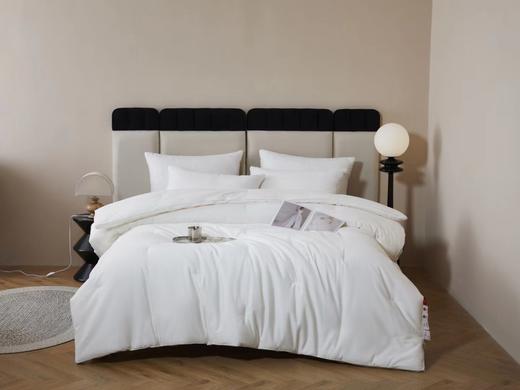 学生全棉大豆加厚保暖冬被 商品图0