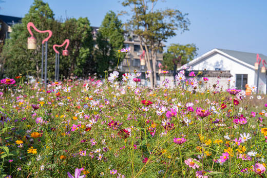 丽水慢姑娘碧湖园轰趴馆 商品图10