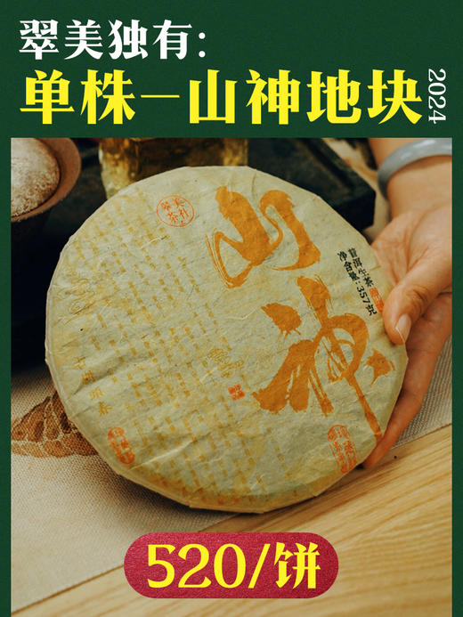 2024【山神】翠美独有，单株挑采-山神庙核心地块， 商品图0