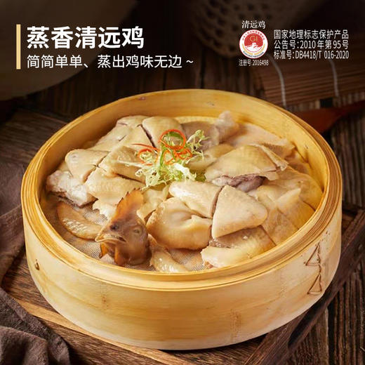 天农生态原种清远鸡   6优生态农场长天龄散养 供港品质 商品图3