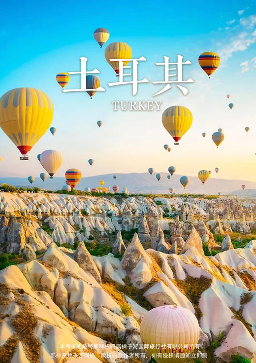 土耳其签证（evisa） 商品图0