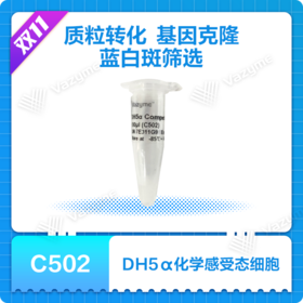 DH5α 化学感受态细胞