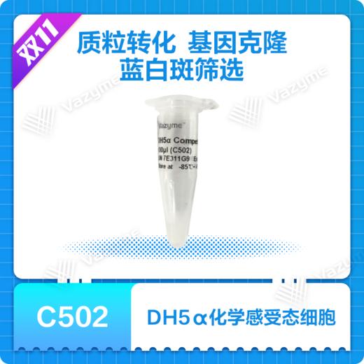 DH5α 化学感受态细胞 商品图0