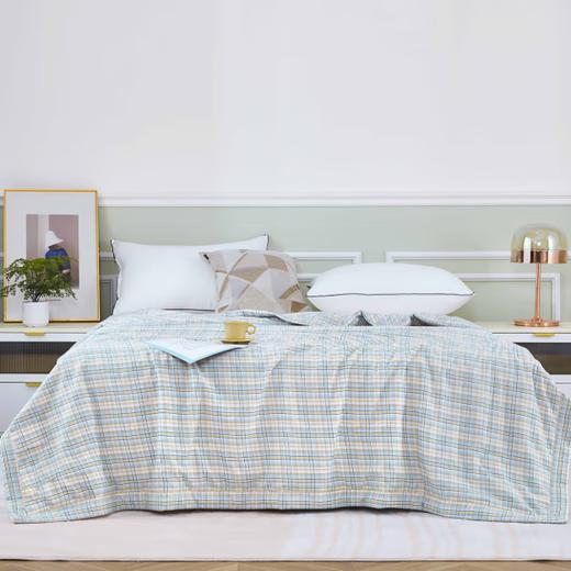 皮尔特保罗  新疆棉花夏被 POLOB-2430 商品图0