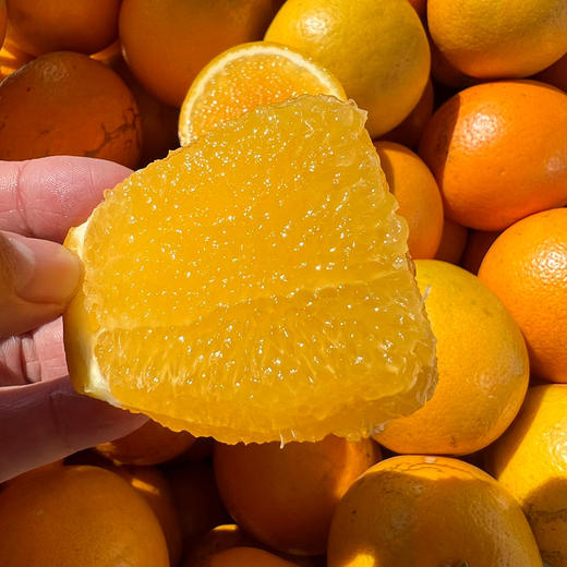 云南高原野花斑橙 一点点丑 多多的甜 自然生长 橙味十足 完美酸甜比  商品图2