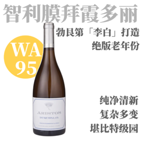 【WA95勃艮第李白智利膜拜霞多丽·少见老年份】2012 / 2016 亚里士多斯杜克萨白葡萄酒 Aristos “Duquesa d'A” Grand Chardonnay
