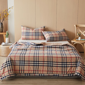 皮尔特保罗  色织水洗棉超柔夏被-宝利咖 POLOB-2420